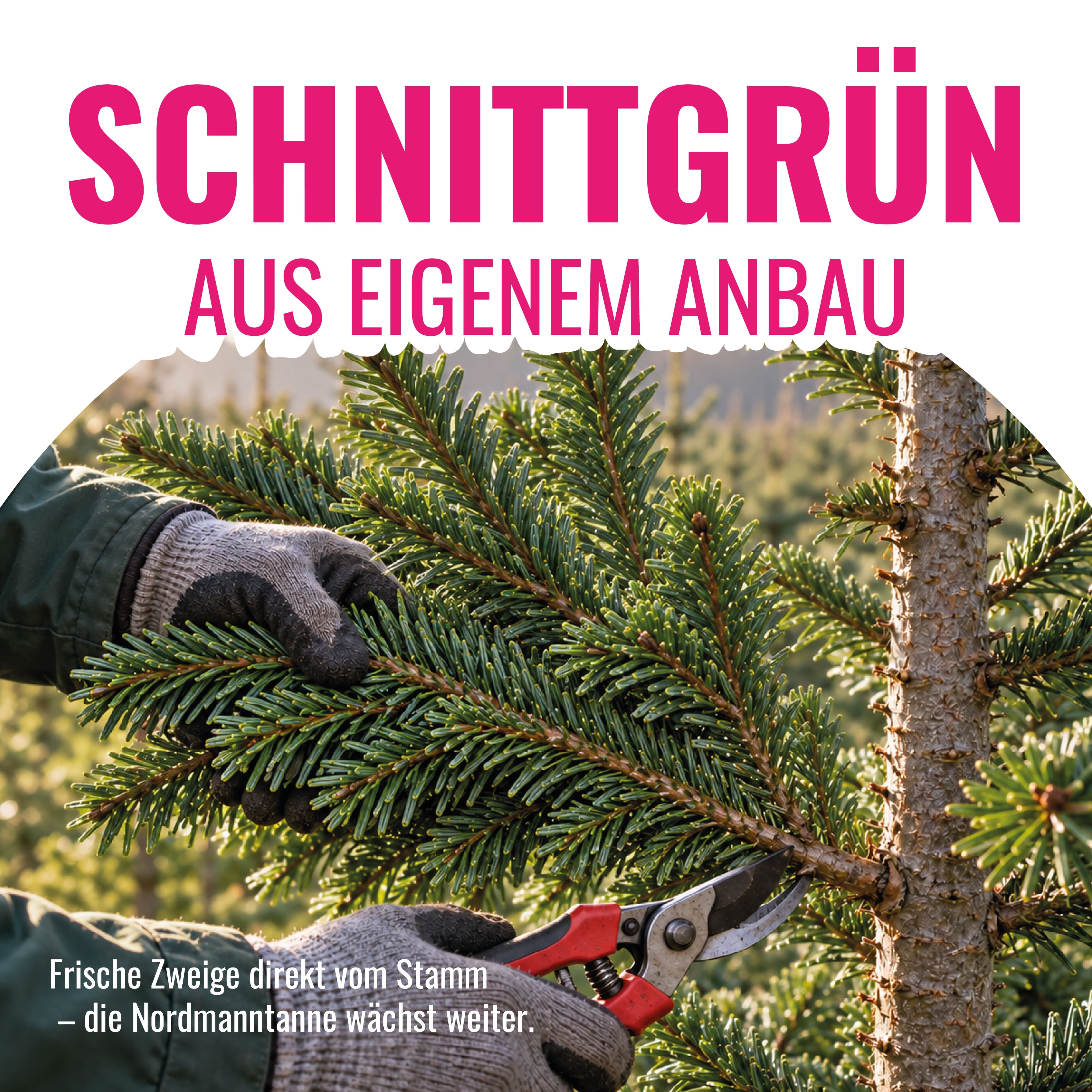 Schnittgrün – 15 kg