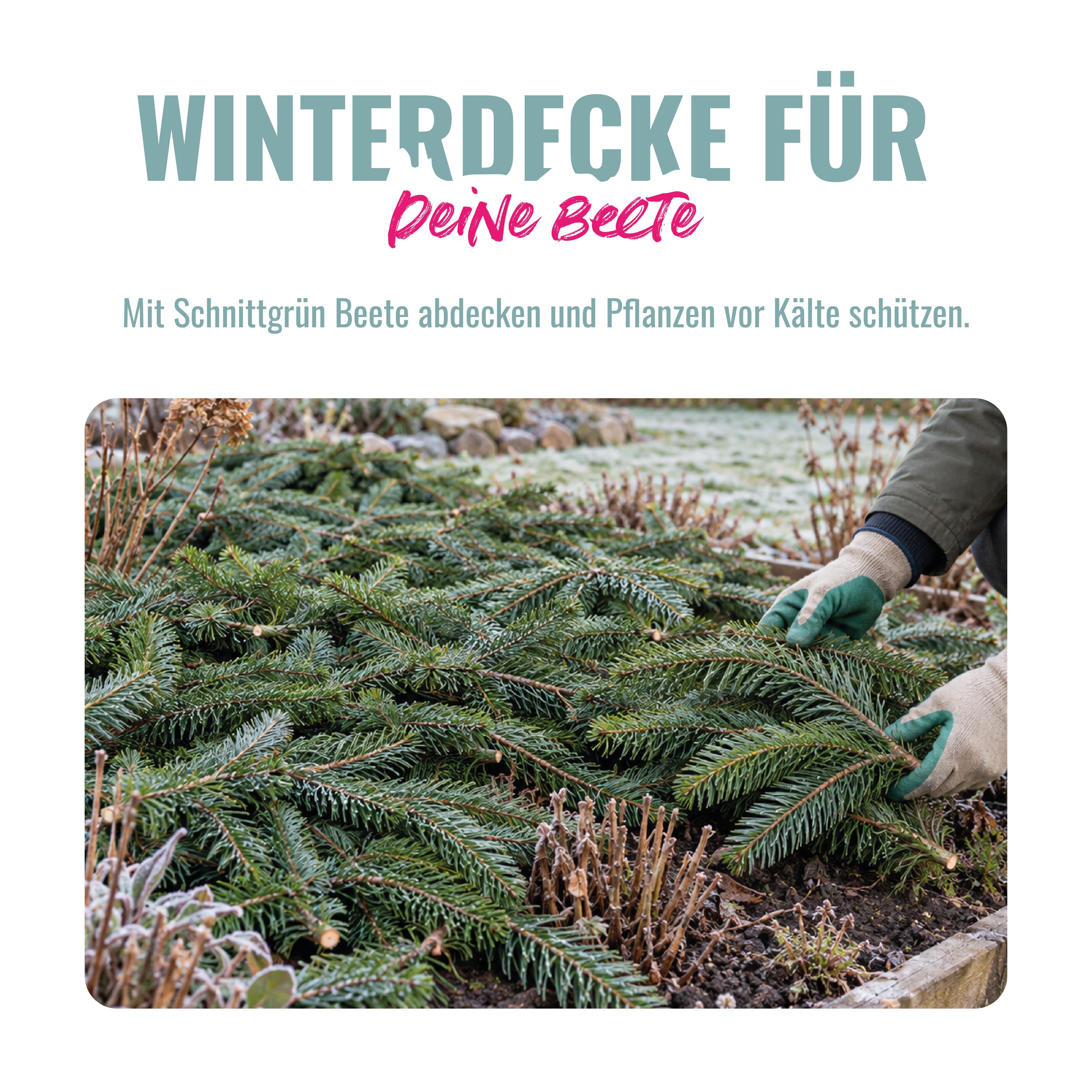 Schnittgrün – 10 kg
