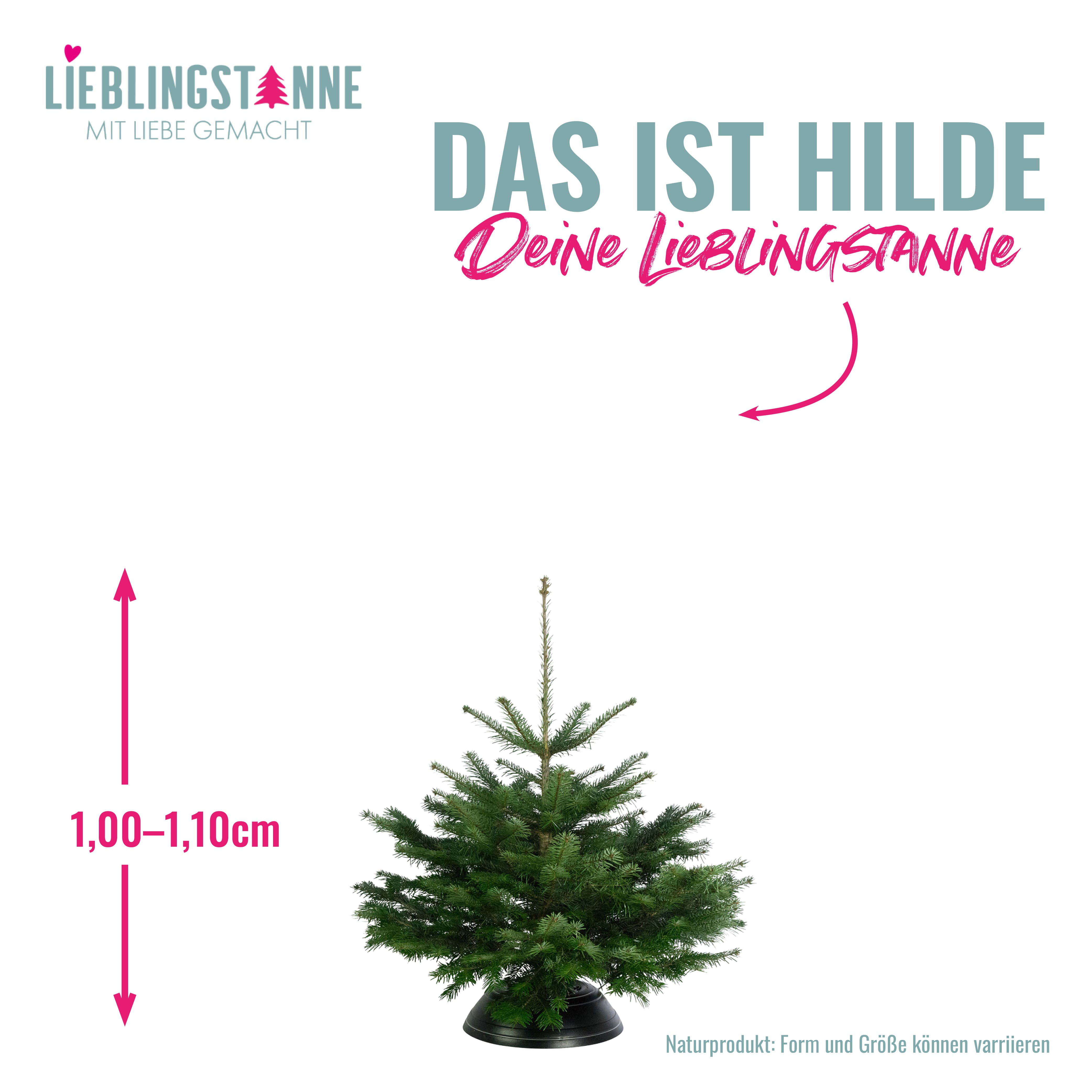 Hilde