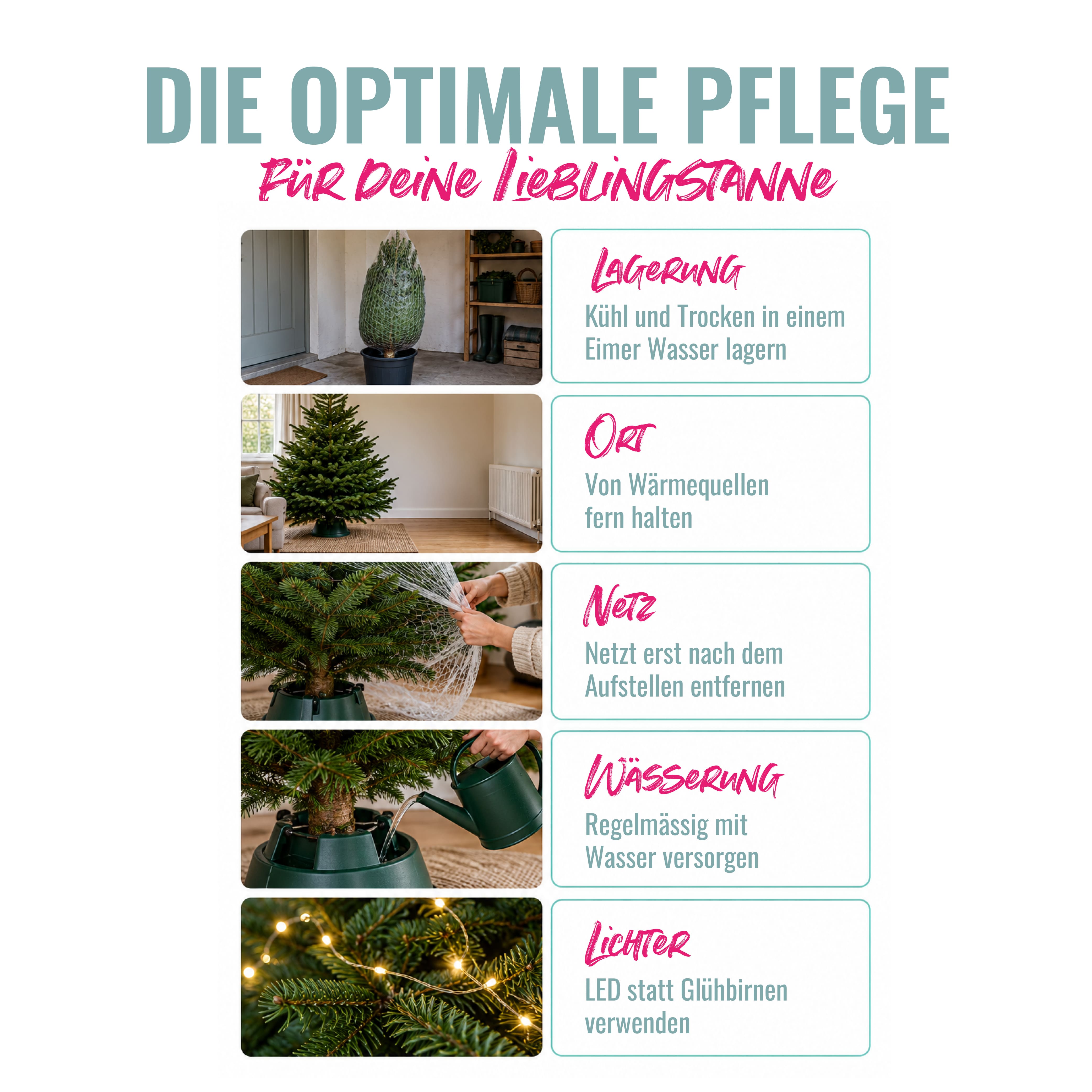Hilde