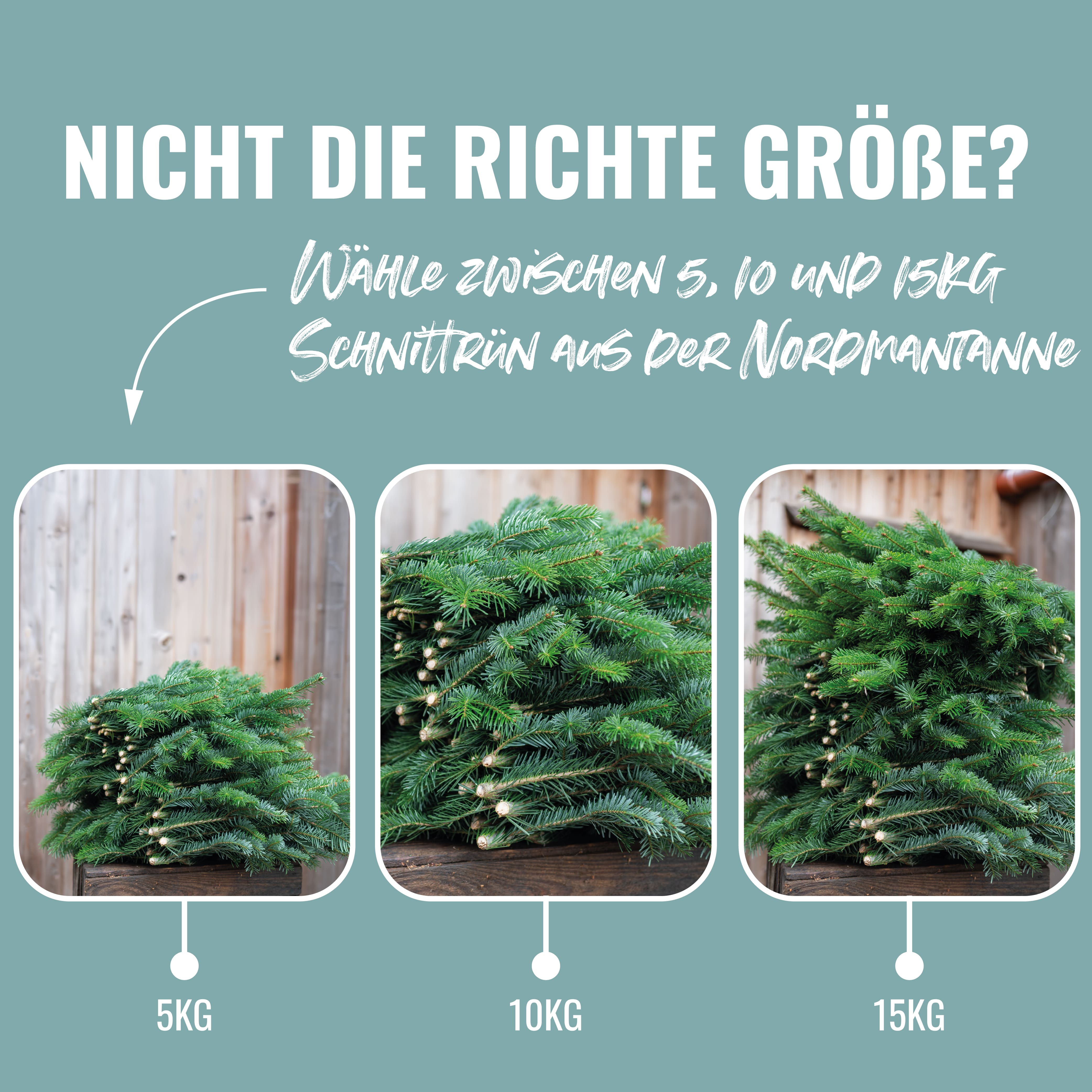 Schnittgrün – 10 kg