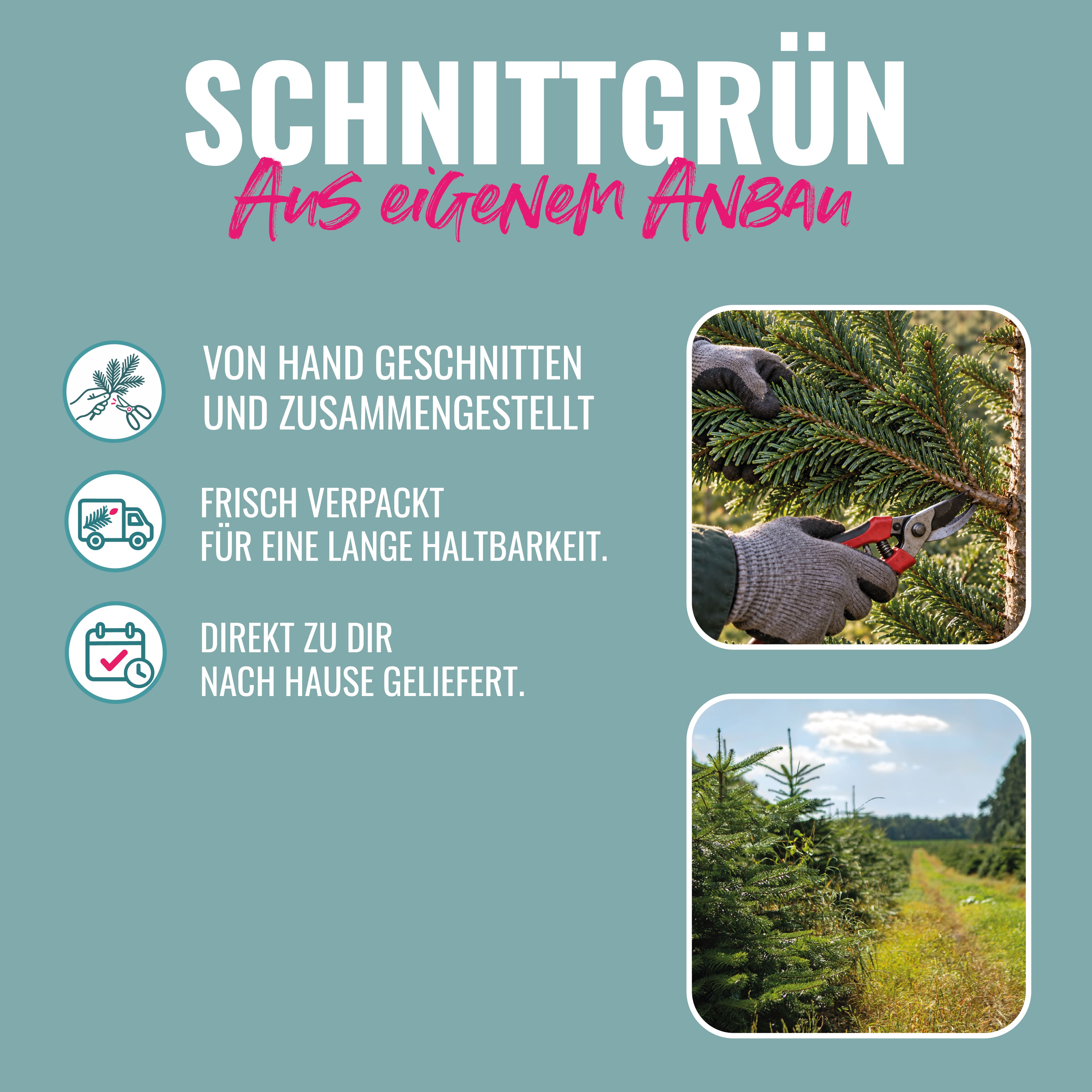 Schnittgrün – 10 kg