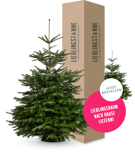 Bei uns findest Du Deinen Weihnachtsbaum 🎄