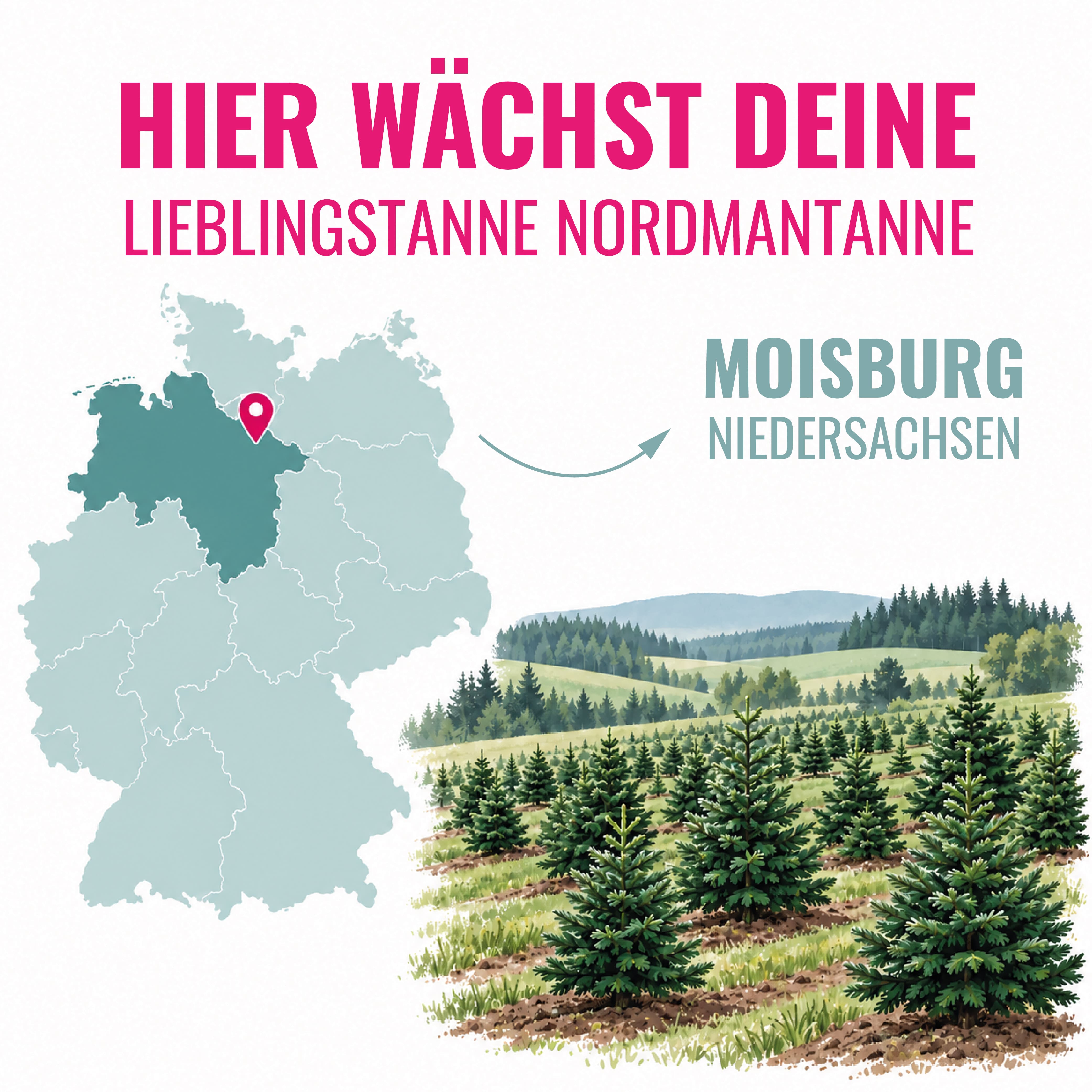 Schnittgrün – 10 kg