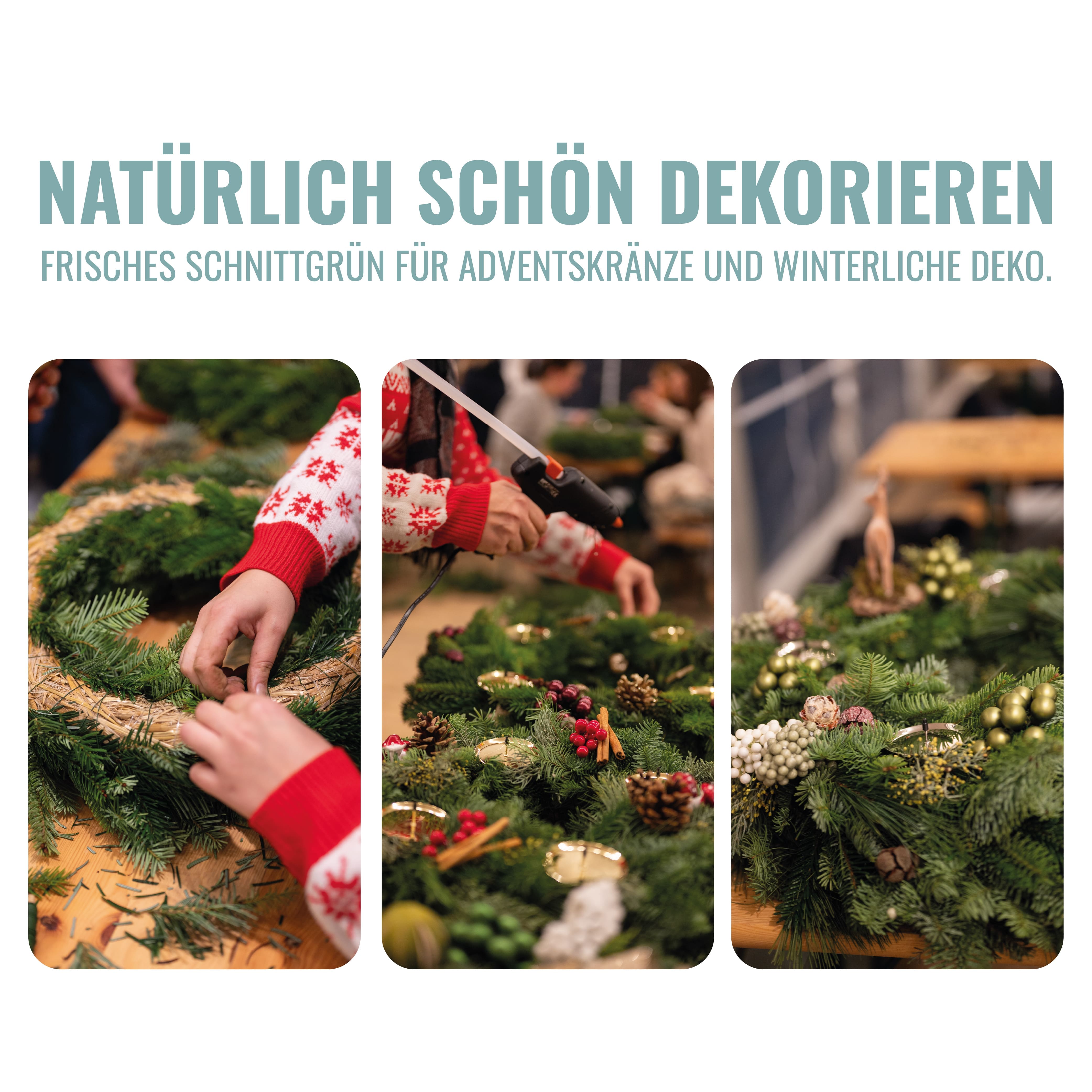 Schnittgrün – 15 kg