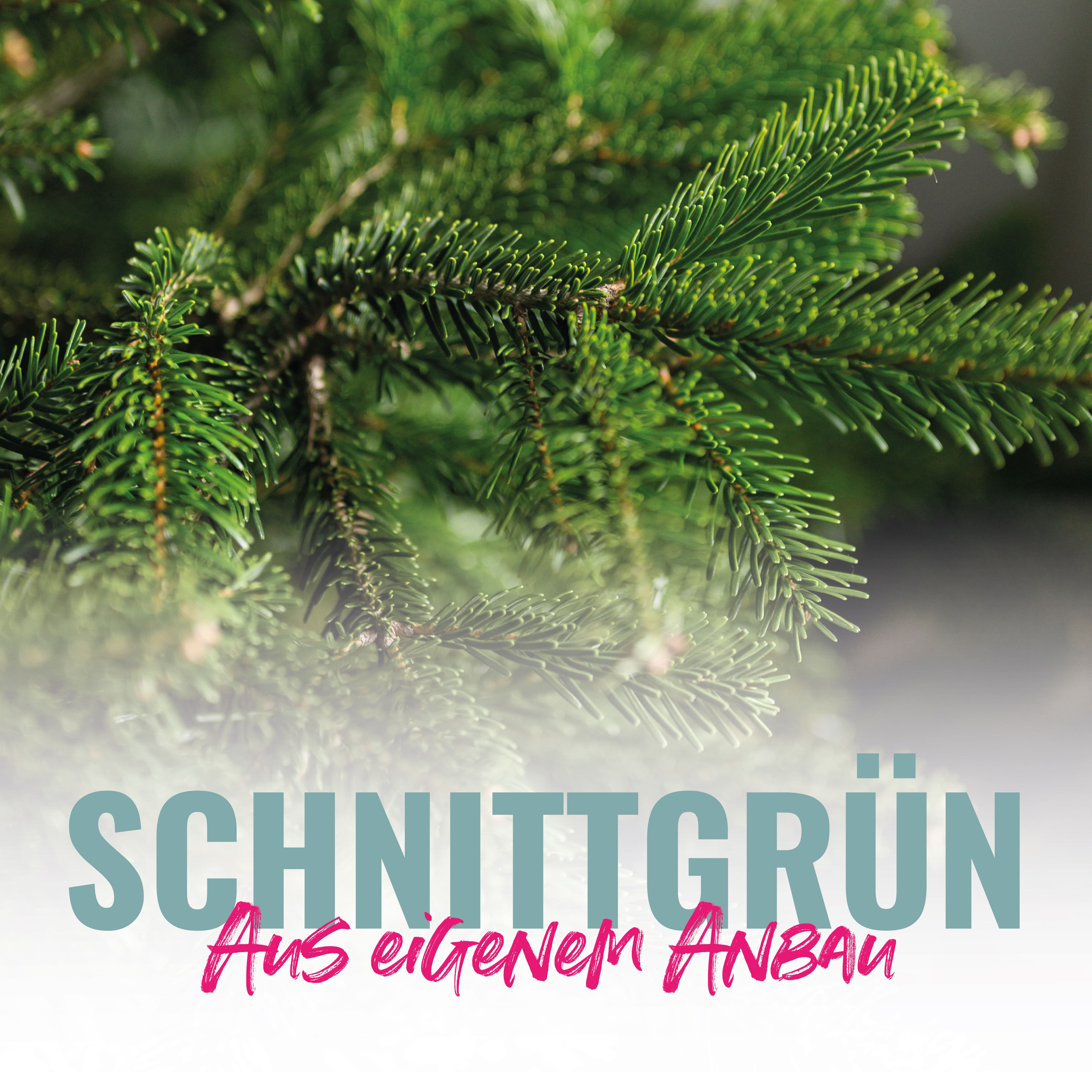 Schnittgrün – 5 kg